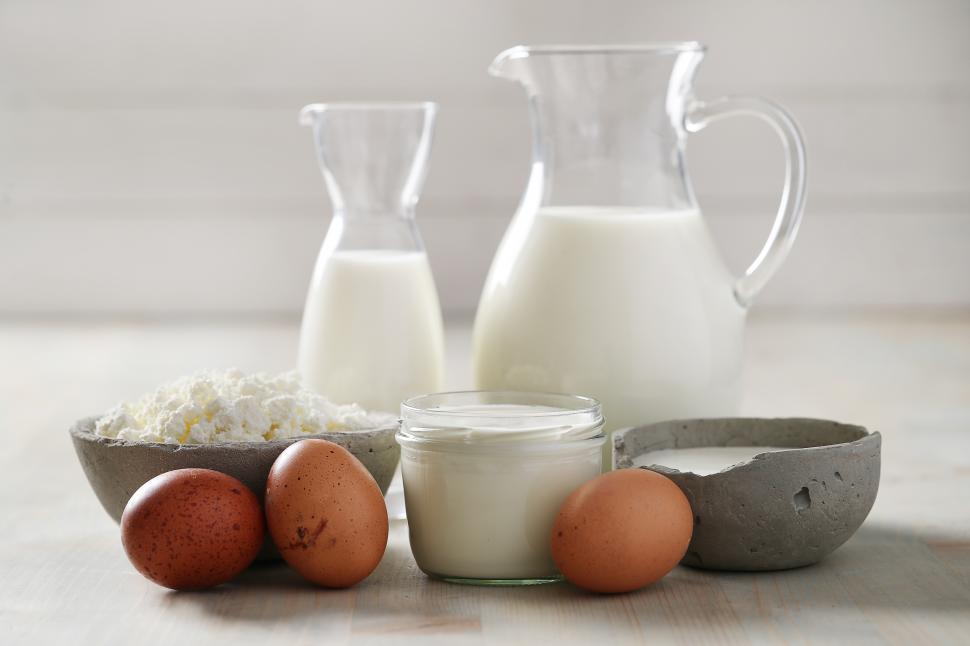 Free Image of Dairy foods 