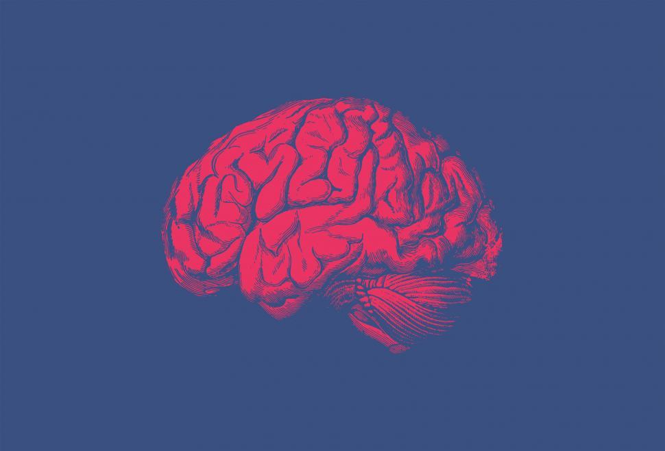Free Image of Brain - Vintage Illustration of Red Brain on Blue Background  