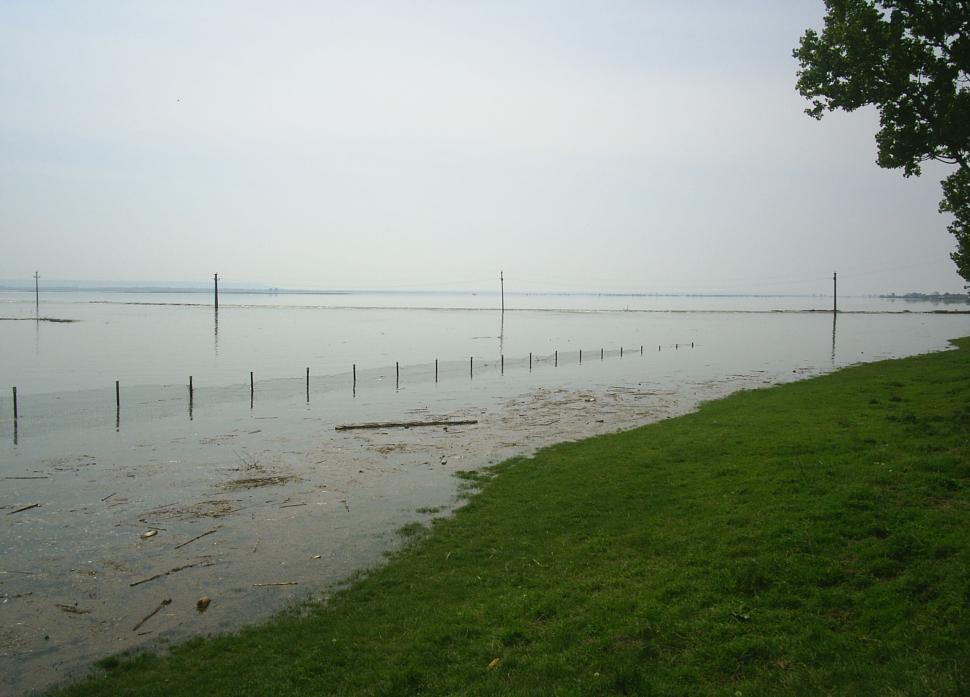 Free Image of Flooded rural area water invading the fields 