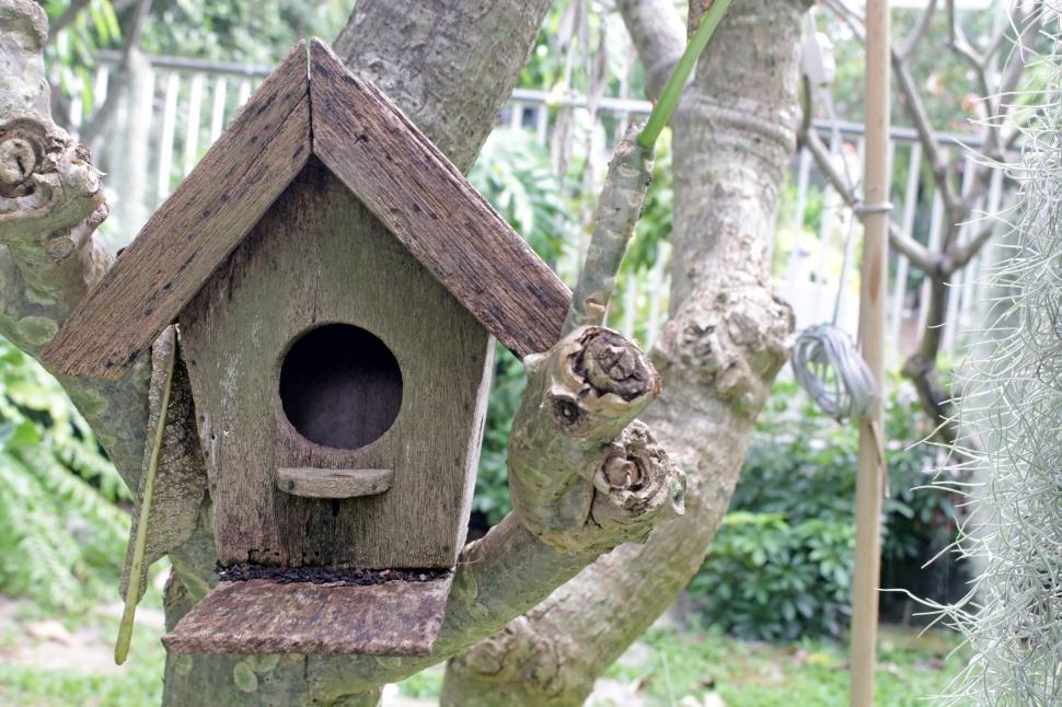 Free Image of Bird house in a tree  