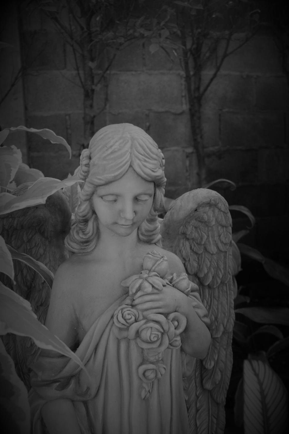 Download Free Stock Photo of Angel Statue in Black and White  