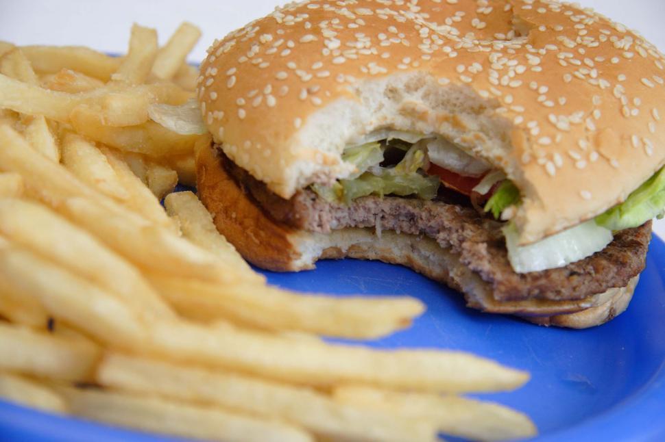 Free Image of Burger with a perfect bite out of it 