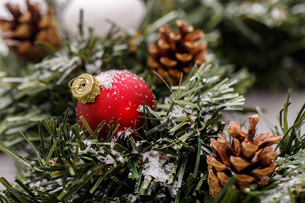 Free Image of Pinecones and red ornaments 