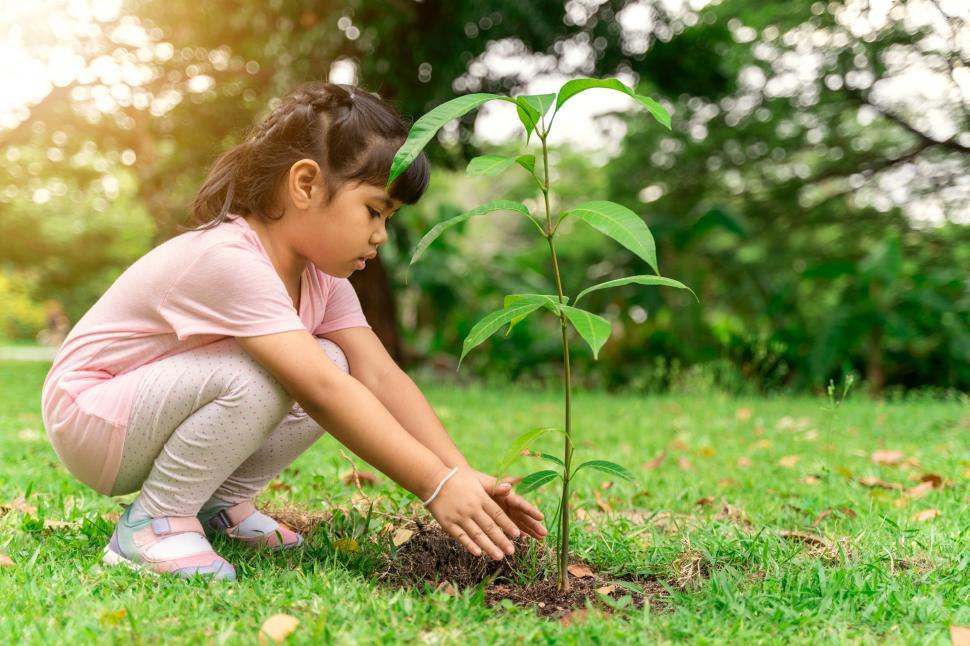Download Free Stock Photo of Little girl planting a tree 