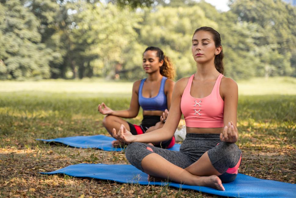 Free Image of Young women doing yoga in the park 