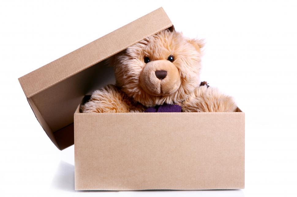 Free Image of Cute Teddy Bear in the gift box 