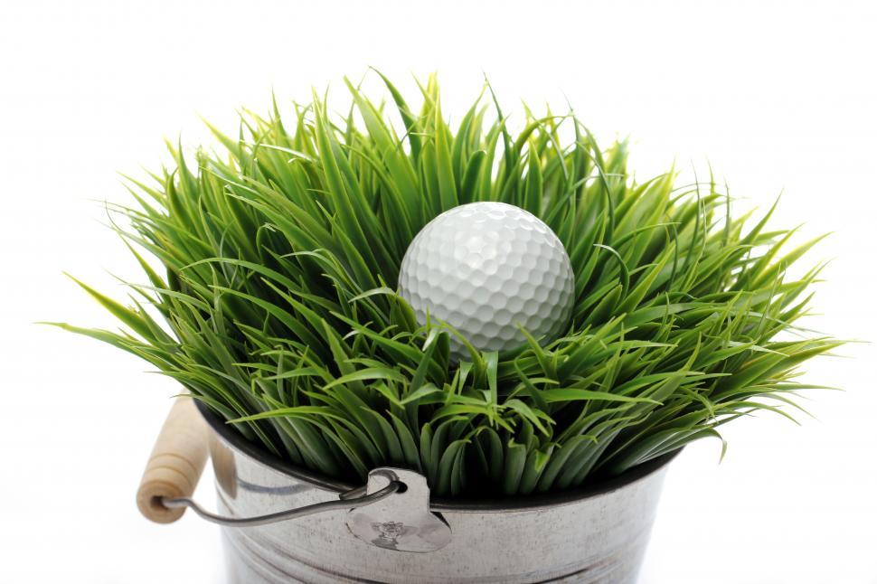 Free Image of Golf ball in grass 