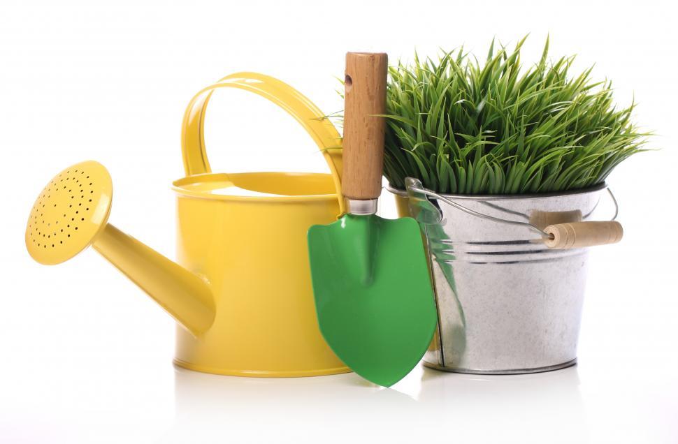 Free Image of Gardening supplies 