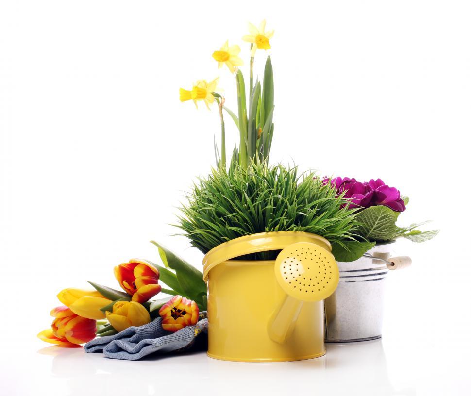 Free Image of Gardening accessories  