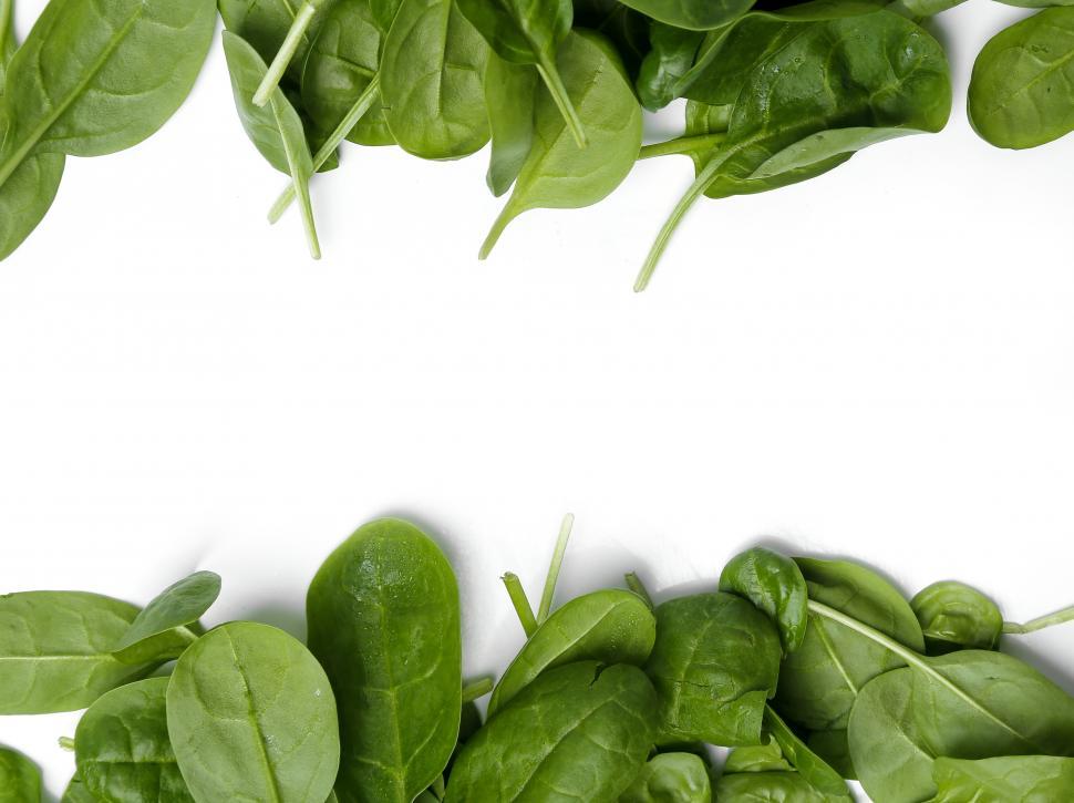 Free Image of Spinach on the table framing copyspace 