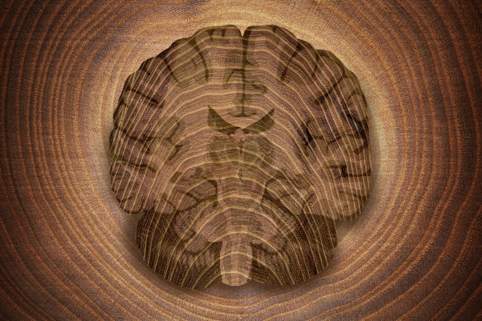 Download Free Stock Photo of Abstract Wooden Brain on Wood Background 