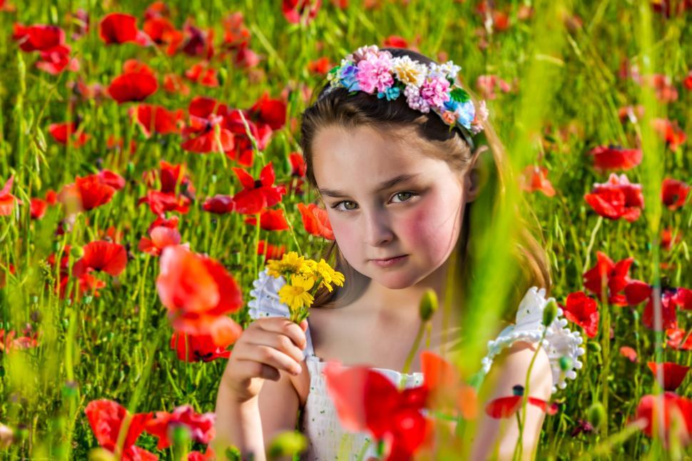 Free Image of Adorable child in flower field in summer 