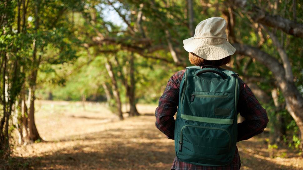 Free Image of The back of a backpacker woman hiking 