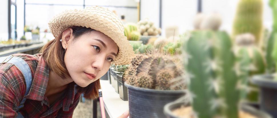 Free Image of Woman caring for a cactus in a nursery 