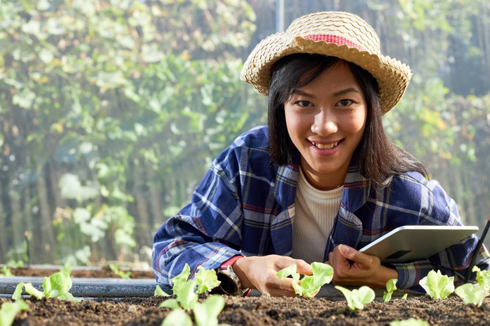 Free Image of Young female farmer holds a tablet in a greenhouse 