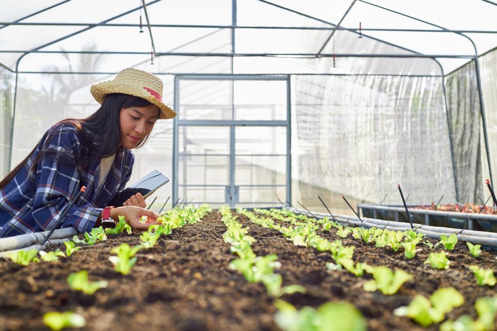 Free Image of Young female farmer holds a tablet in a greenhouse 