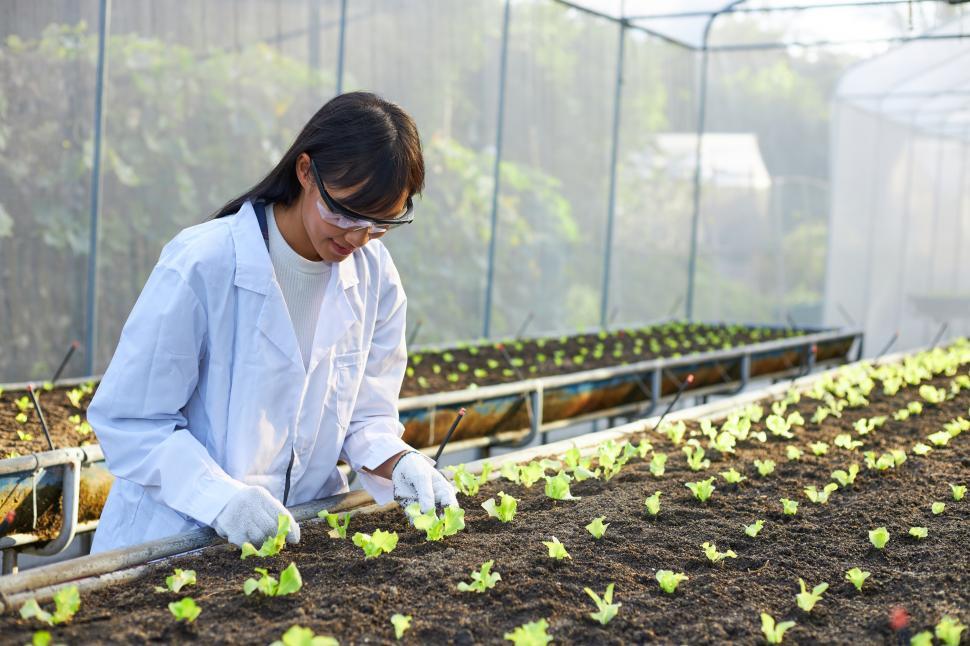 Free Image of The female botanist, geneticist, or scientist is working in a greenhouse 
