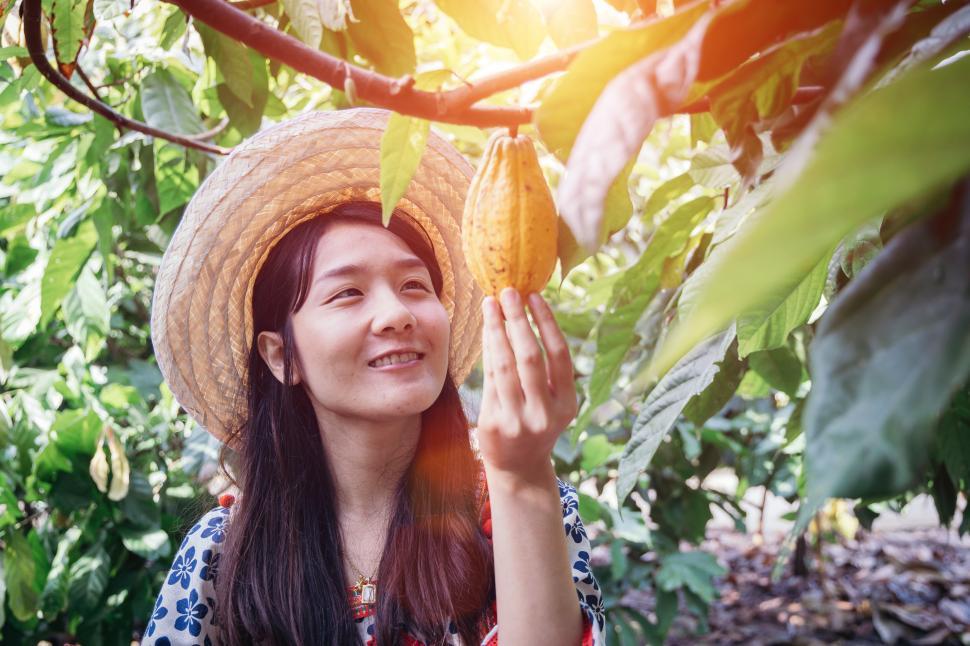 Free Image of Young woman are checking cocoa products from the garden. 