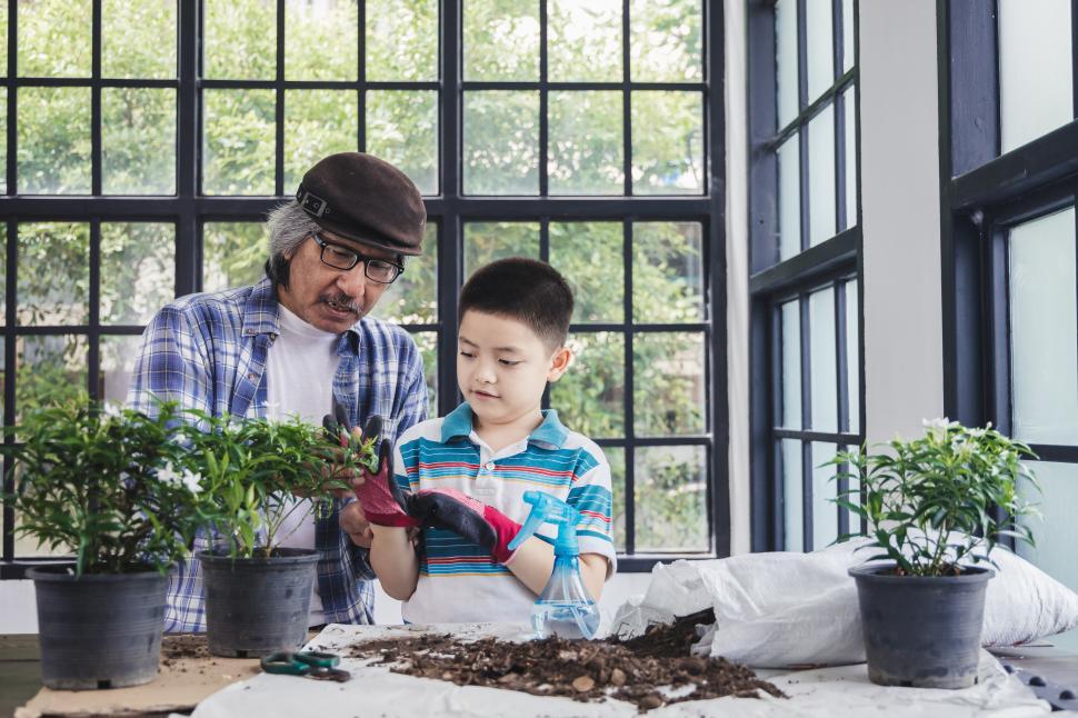 Free Image of Grandpa and grandson are helping to take care of plants 