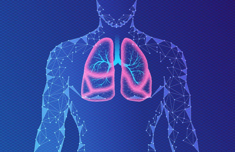 Free Image of Advances in Pulmonology - Conceptual Illustration 