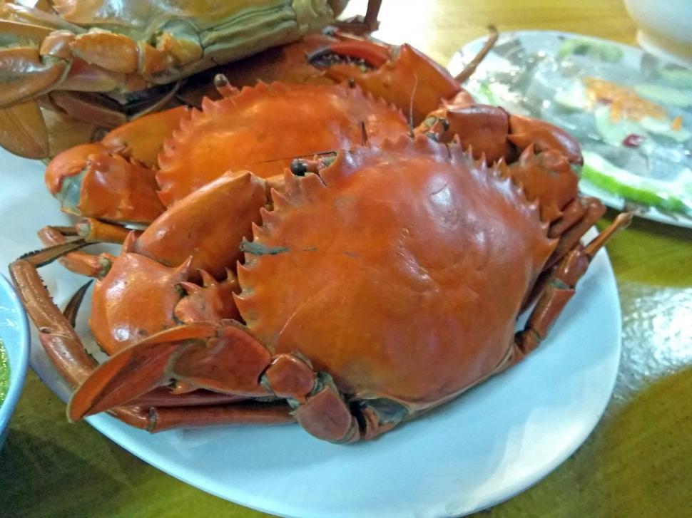 Download Free Stock Photo of Cooked red crab  