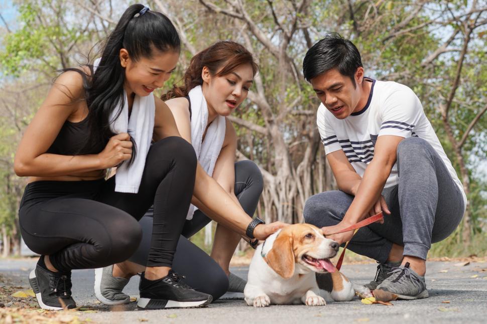 Free Image of Group of people petting and playing with beagle dog 