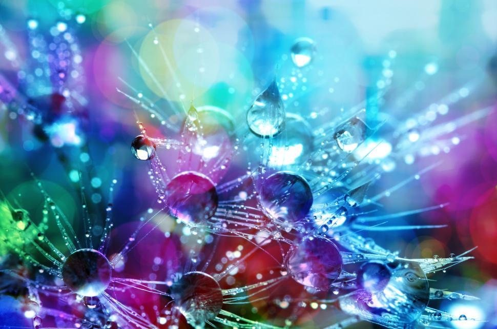Download Free Stock Photo of Colourful Droplets  