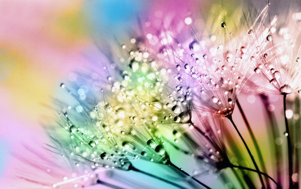 Free Image of Pretty Coloured Droplets  