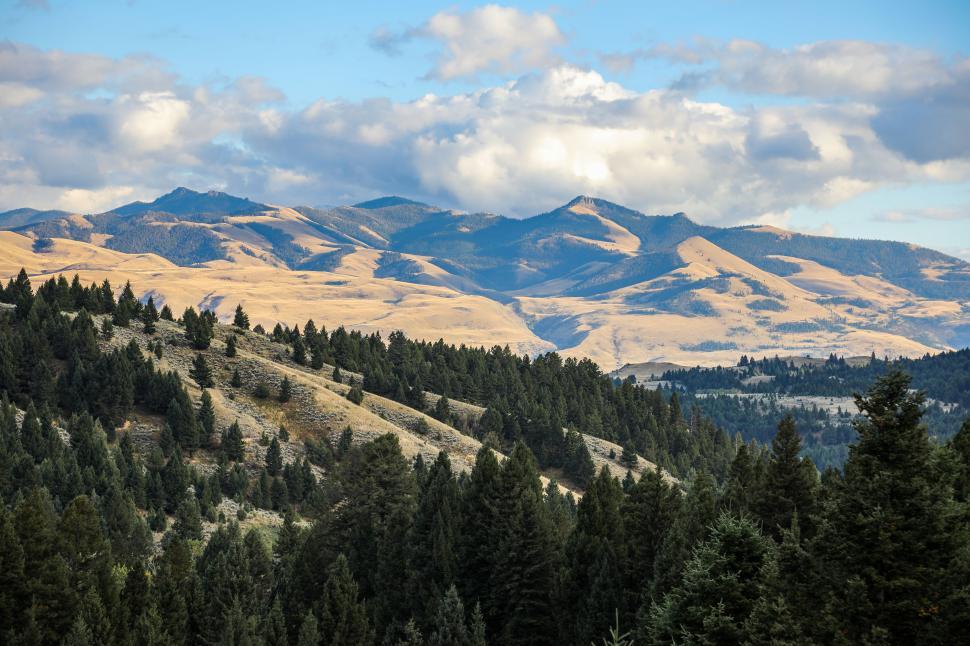 Free Image of Forest and Mountains of Montana 