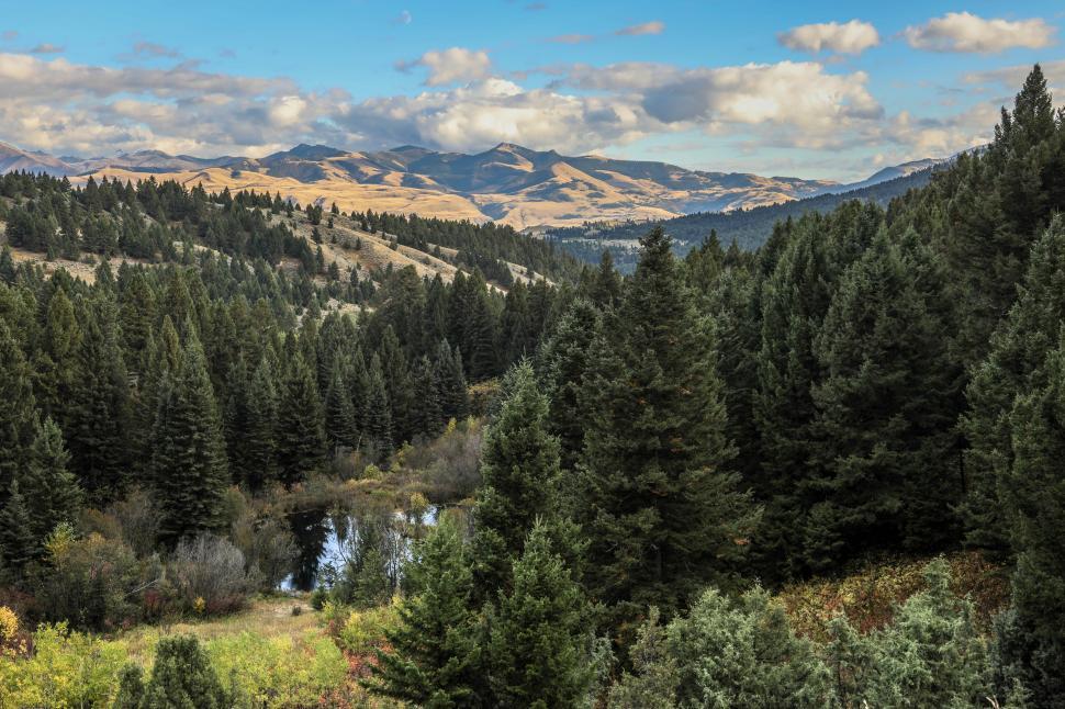 Free Image of Montana Landscape 