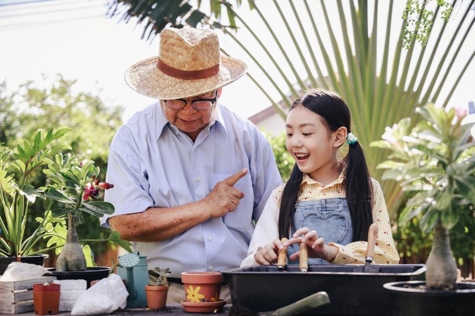 Download Free Stock Photo of Granddaughter helping grandfather plant in the garden 