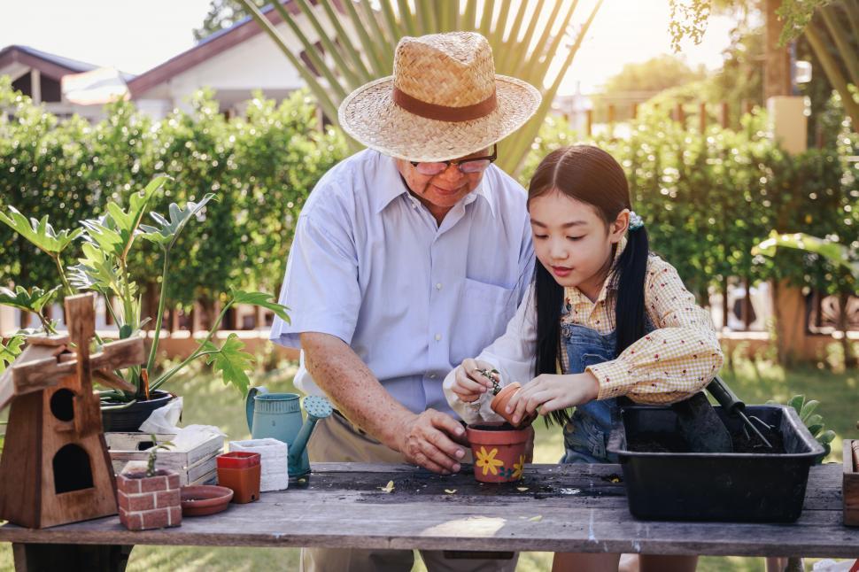 Download Free Stock Photo of Asian retirement grandfather and pretty granddaughter helping pl 