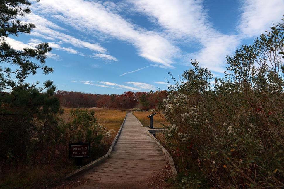 Free Image of Cheesequake State Park Boardway 
