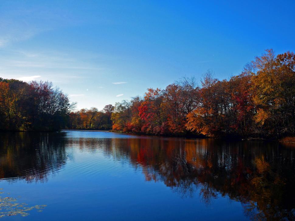 Free Image of Autumn Lake 