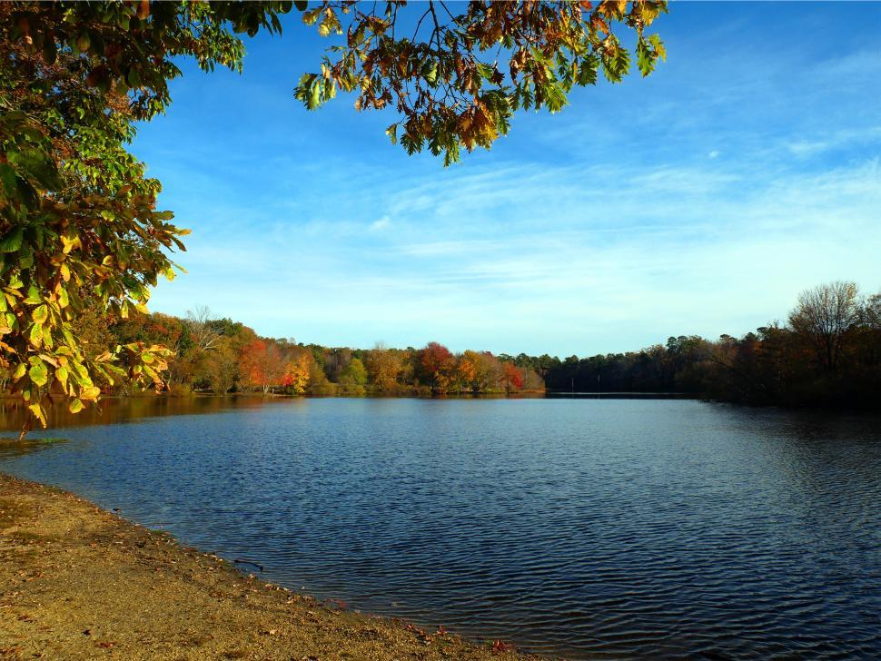 Free Image of Lakeside In Autumn 