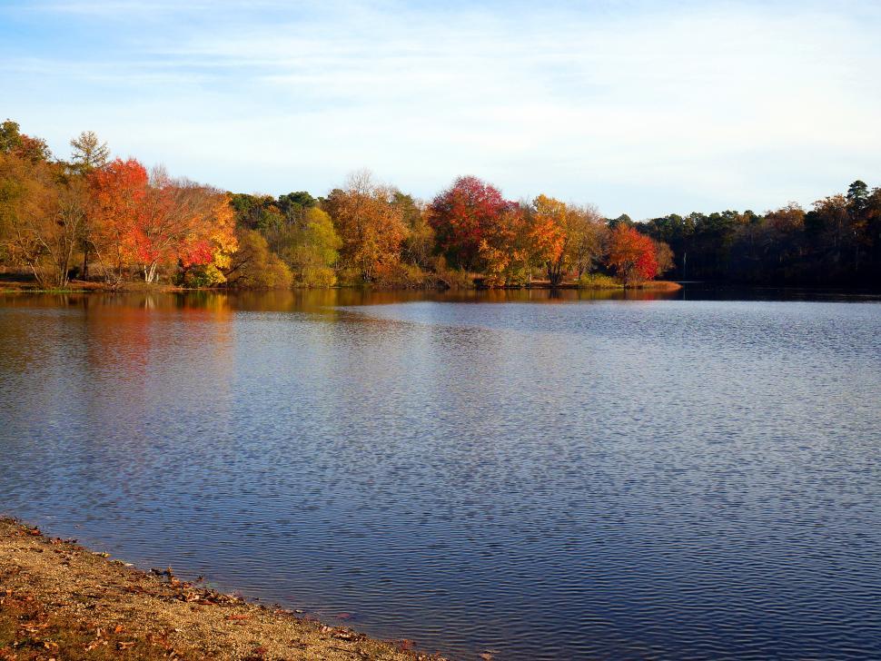 Free Image of Autumn Lakeside View 