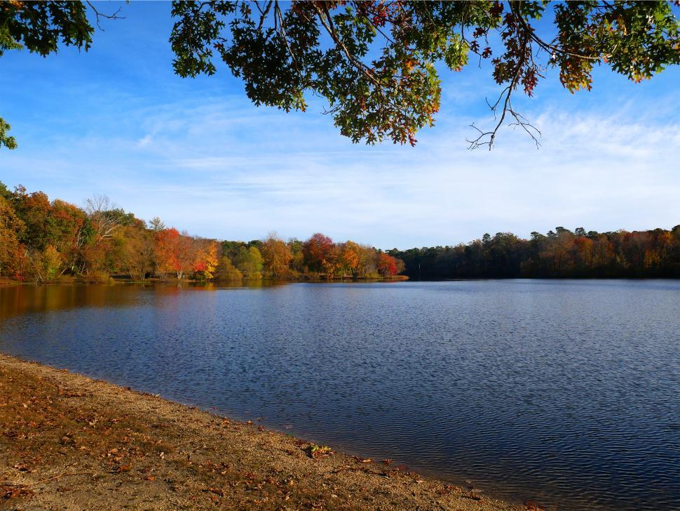 Download Free Stock Photo of Lake In Autumn 