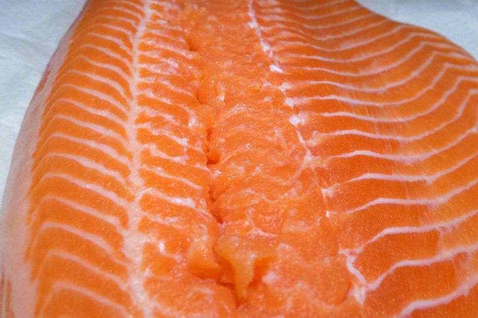Free Image of Salmon Filet 