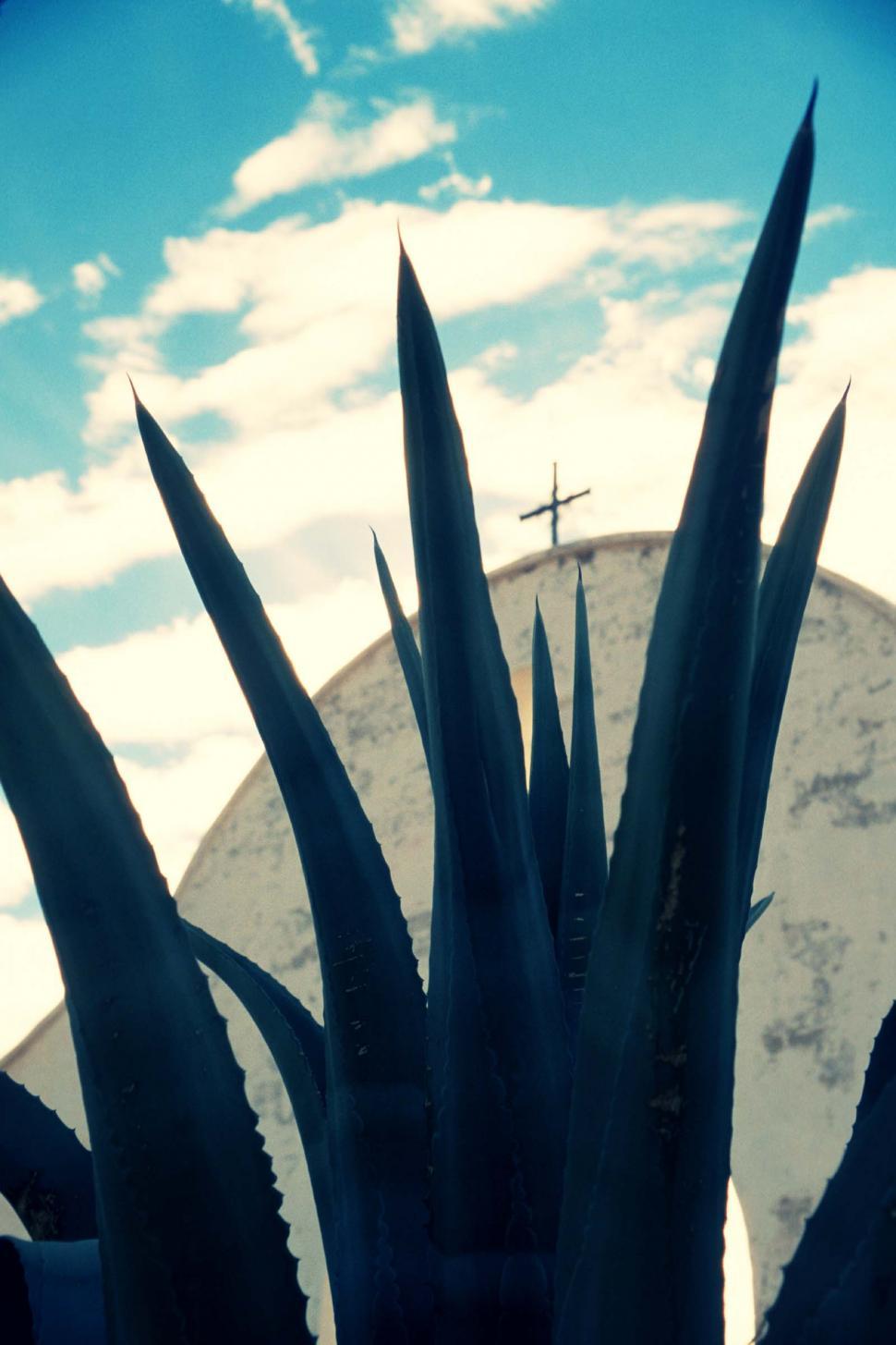 Free Image of Desert Arch and Agave, San Xavier Mission 