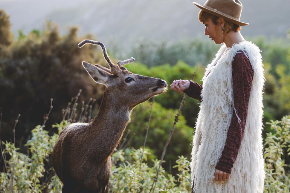 Free Image of young boho woman with a deer 