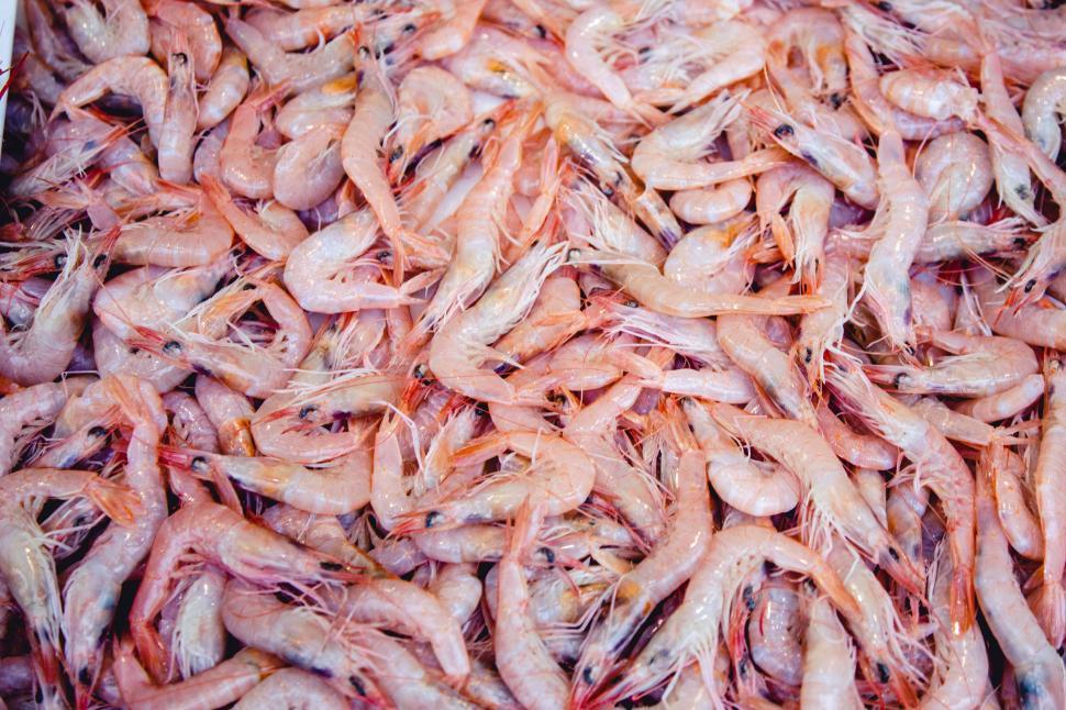 Free Image of an overhead flat lay shot of shrimp 