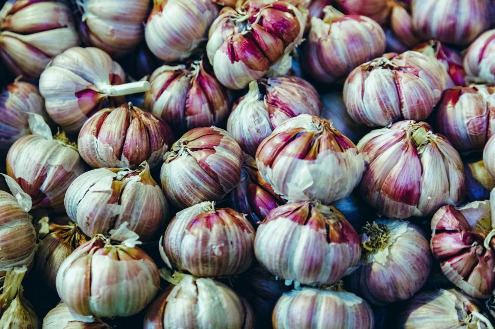 Free Image of beautiful mediterranean garlic close up 