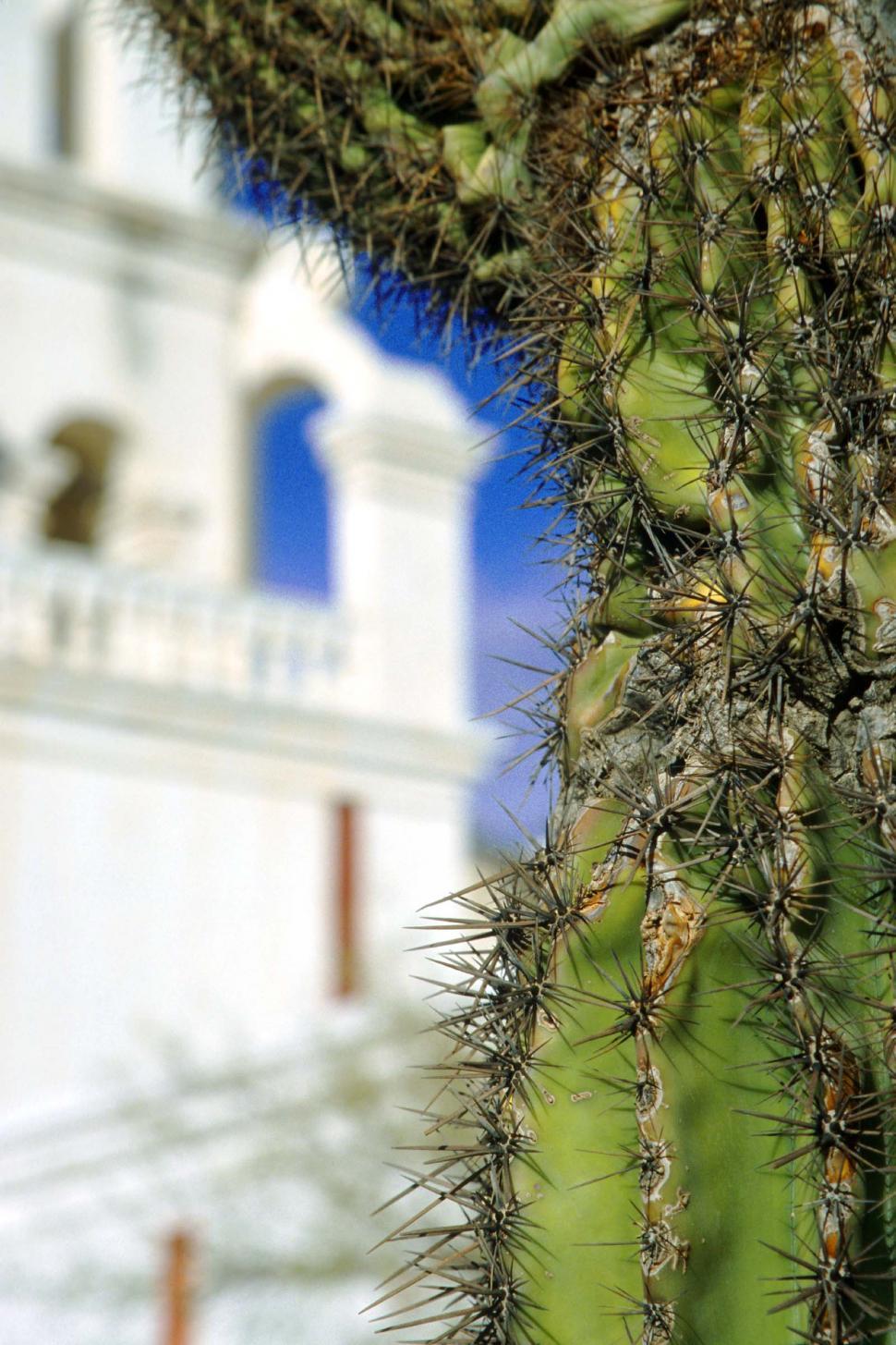Free Image of Cactus and Mission San Xavier del Bac 