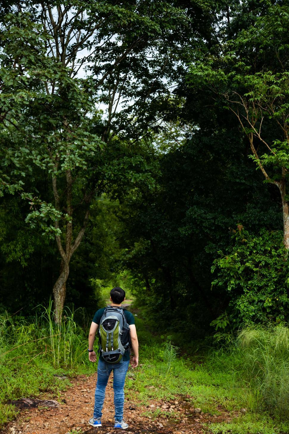Free Image of Tourist hiking in the forest 