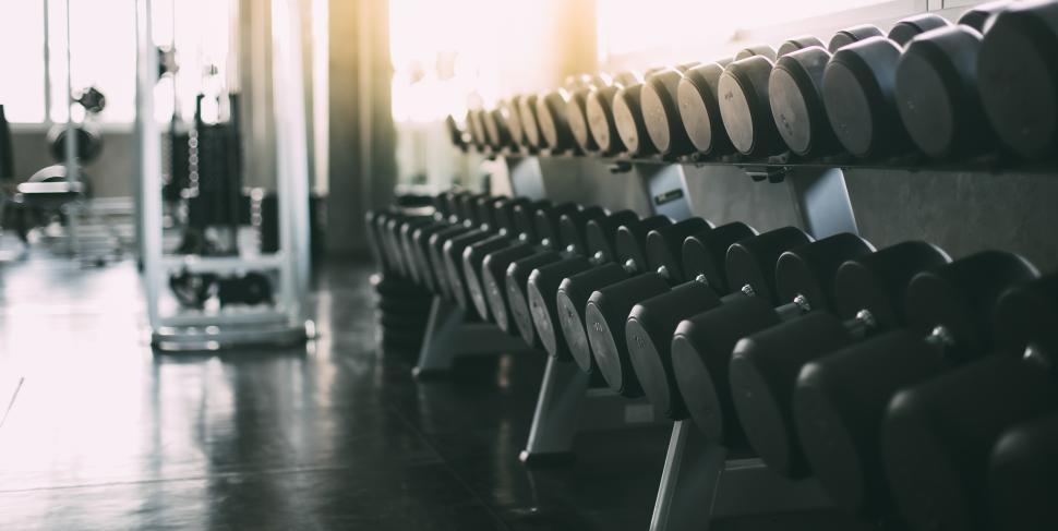 Free Image of Rows of dumbbells in the gym. 
