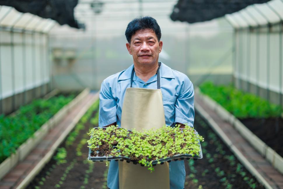 Free Image of Portrait of farmer holding tray of seedlings 