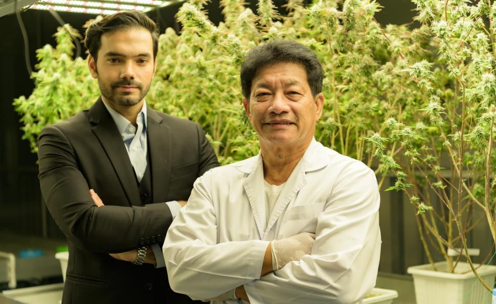 Free Image of Portrait of a cannabis farm owner and scientist who runs plantation 