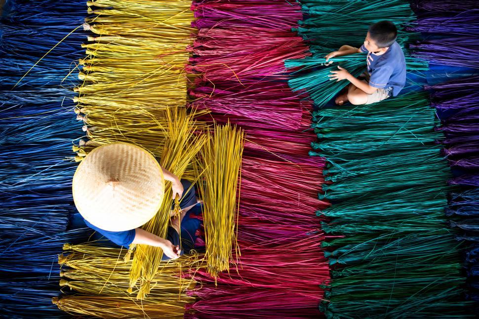 Free Image of Processing of flax trees into different colors to be woven into mats 