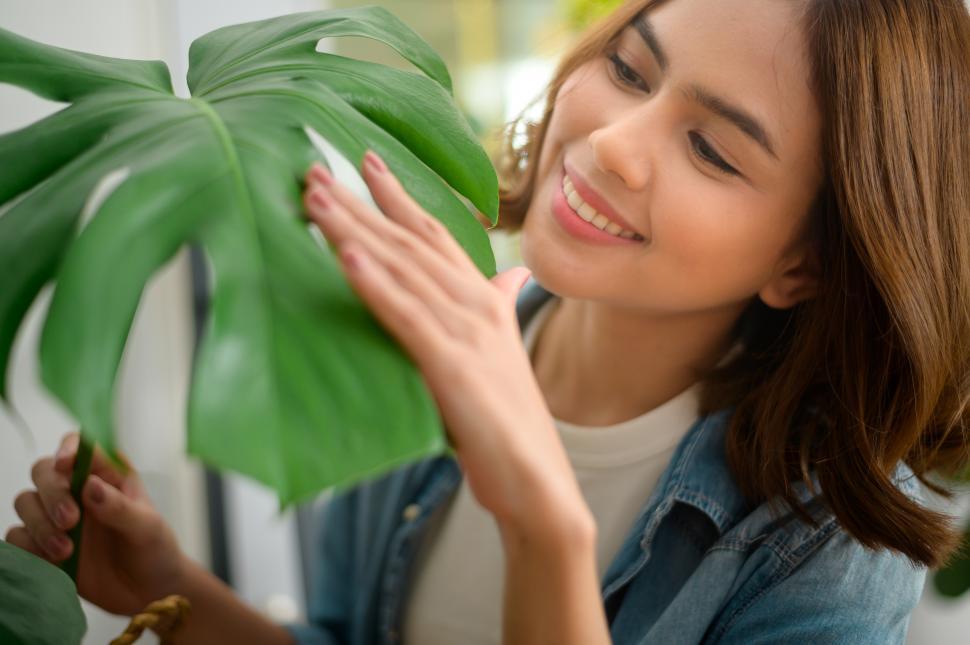 Free Image of Woman admiring the large leaves of a healthy houseplant 