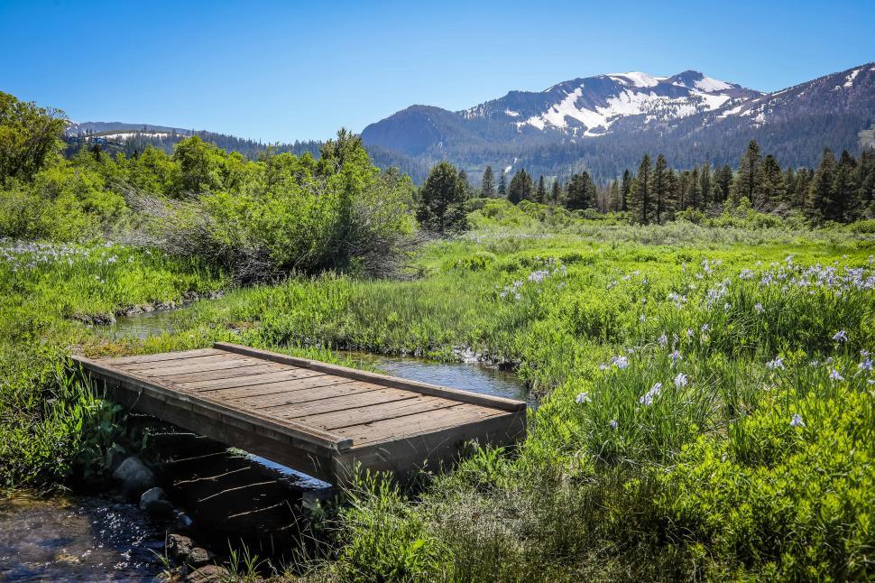 Free Image of Small bridge over runnig wather in a mountain meadow 